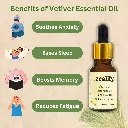 2_vetiver_benefits.webp
