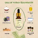 3_vetiver_uses.webp