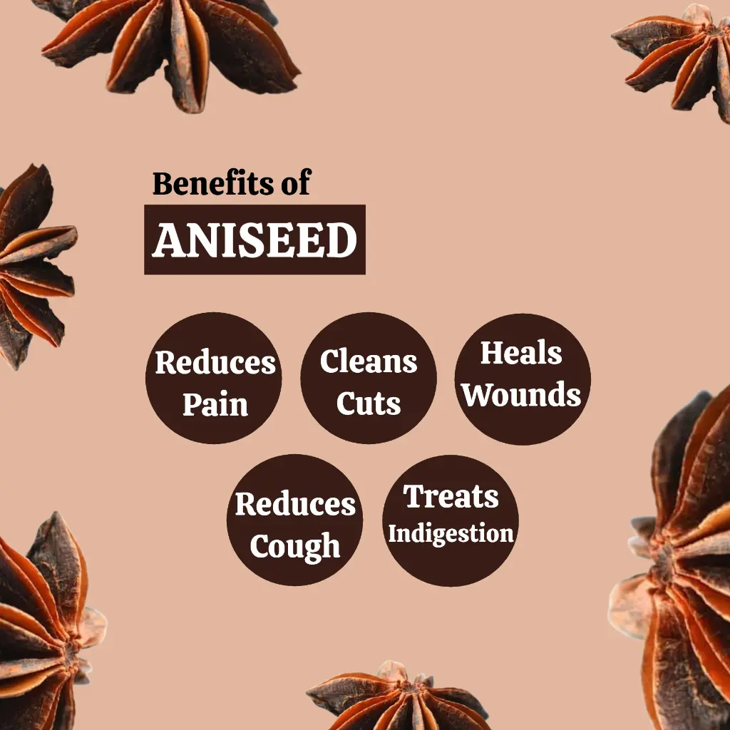 2_ani_benefits.webp