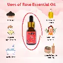 3_rose_uses.webp