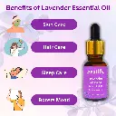 2_lavender_benefits.webp