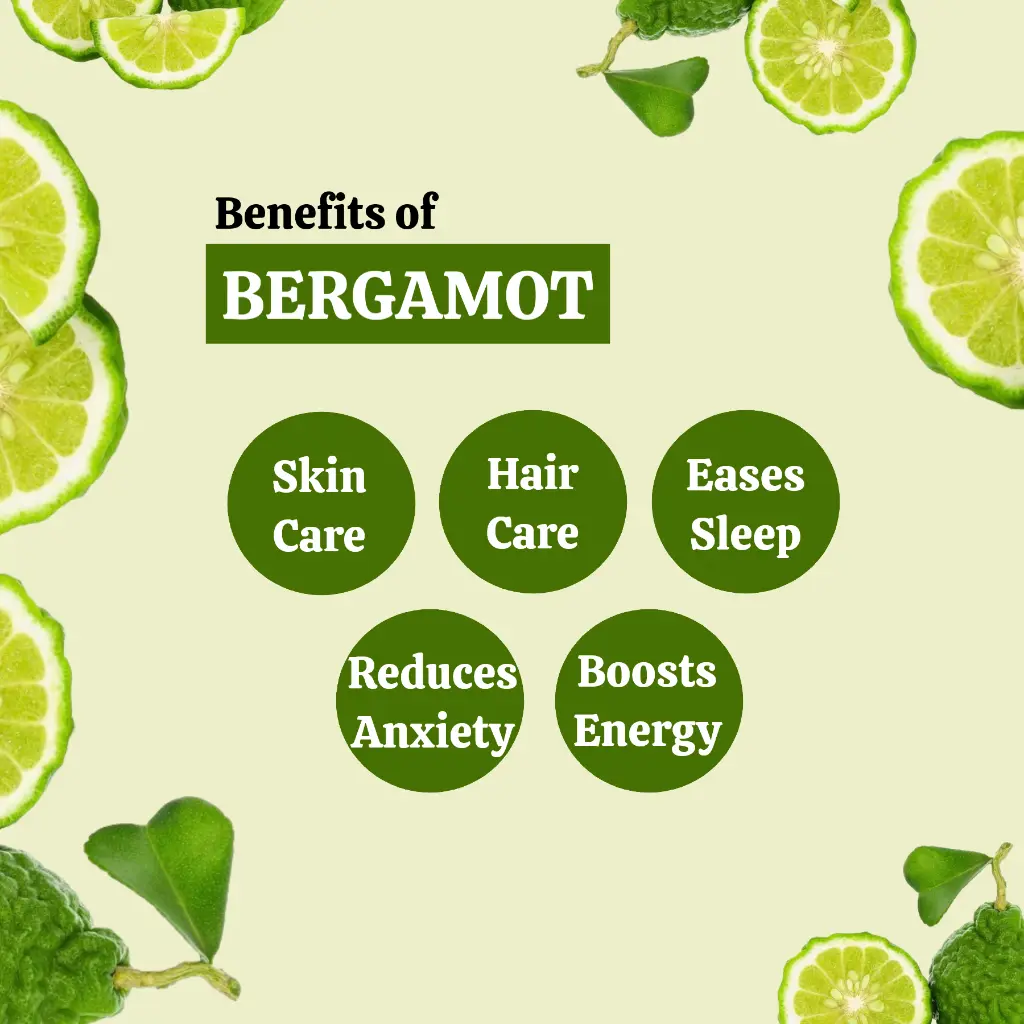 2_ber_benefits.webp