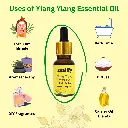 3_ylang_uses.webp