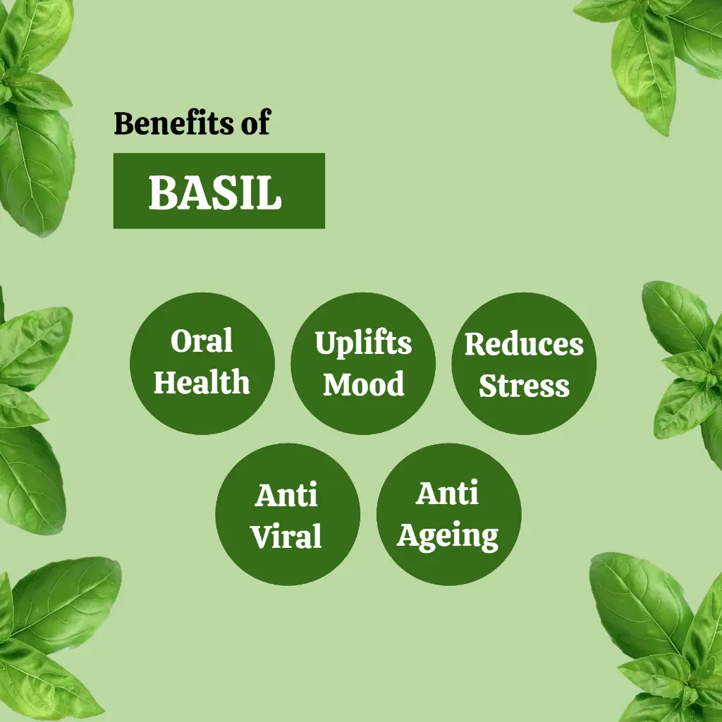 2_benefits.webp