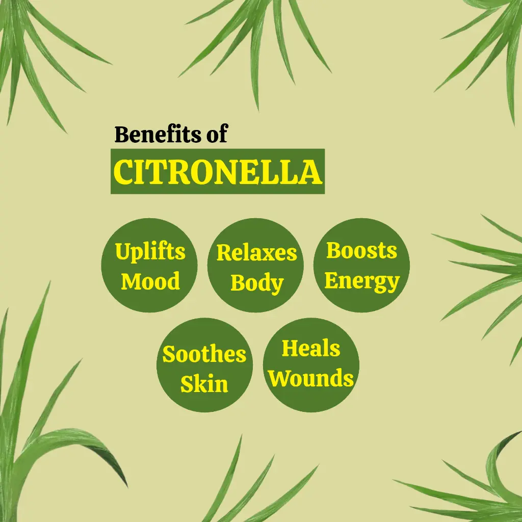 2_benefits.webp
