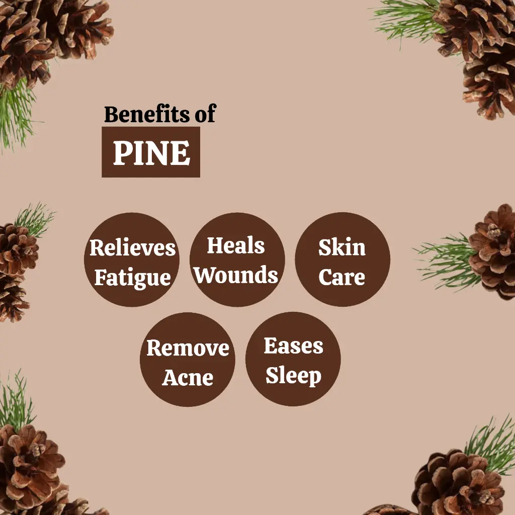 2_benefits.webp