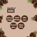 2_benefits.webp