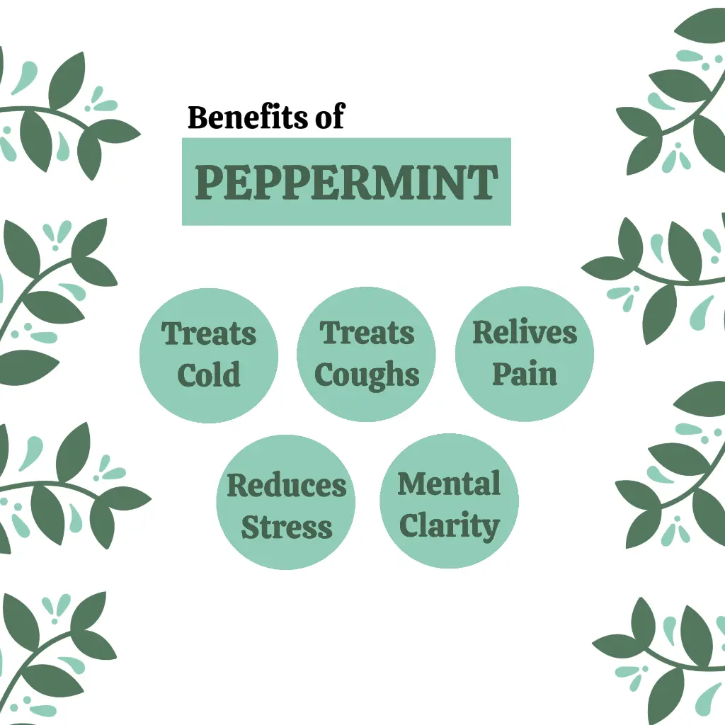 2_pe_benefits.webp
