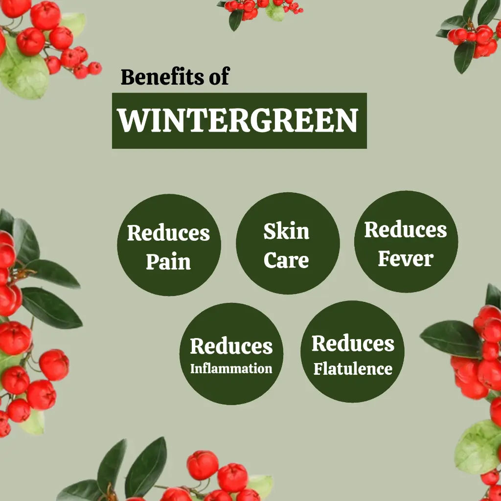 2_wg_benefits.webp