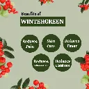 2_wg_benefits.webp