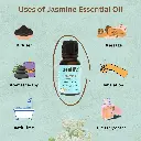 4_jasmine_uses.webp